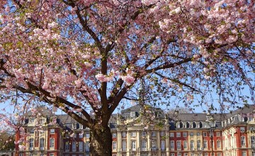 schloss-münster