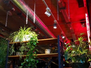 interior-bikini-berlin