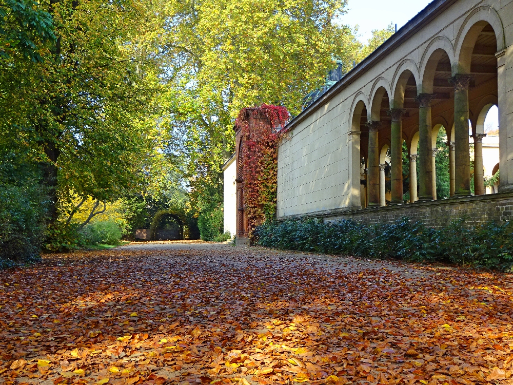 herbstspaziergänge-potsdam