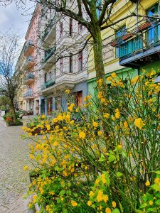 bunte-häuser-berlin