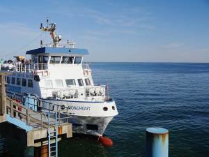 adler-schiffe-ruegen