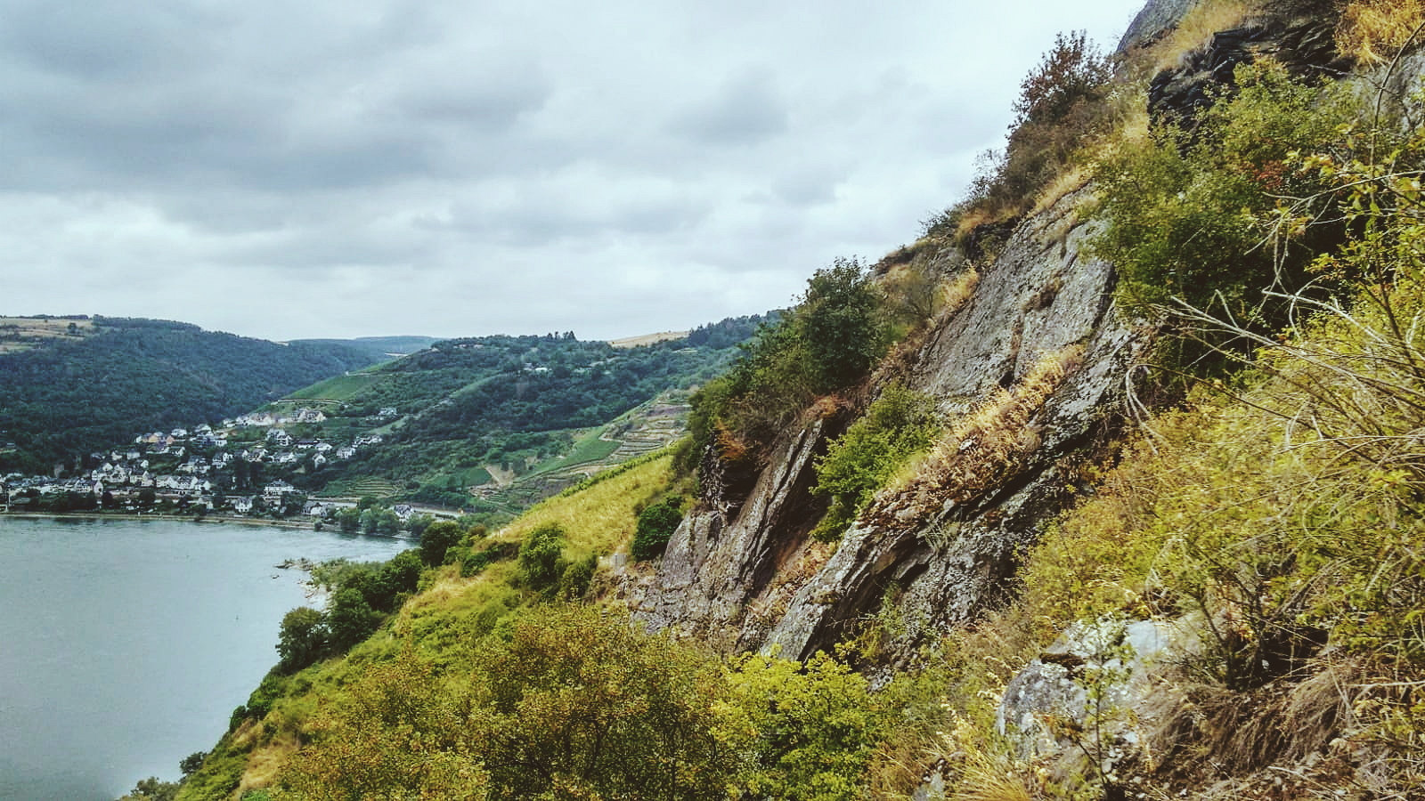 felsen-am-rhein