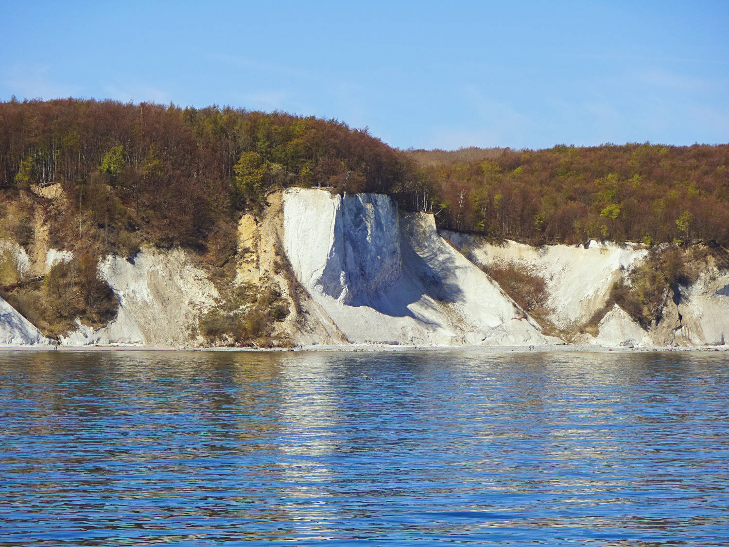 kreidefelsen-ruegen