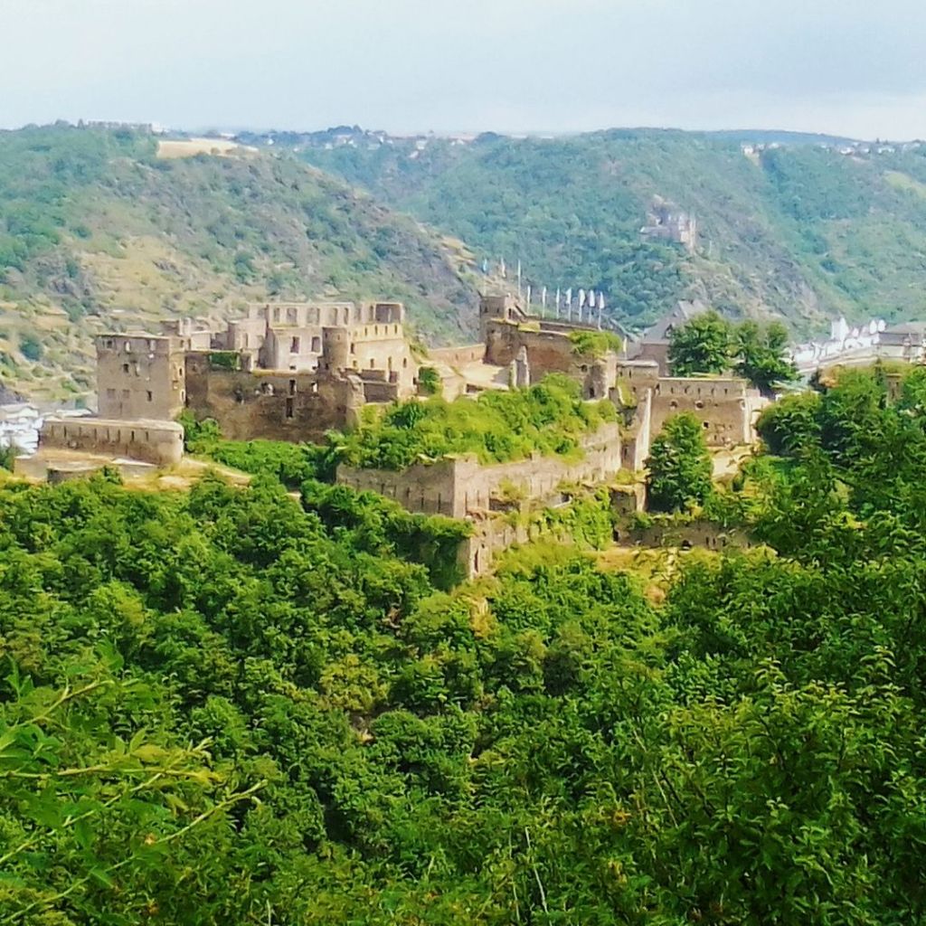 blick-auf-burg-rheinfels