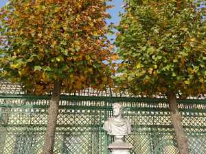 bueste-zwischen-zwei-baeumen