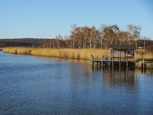 wasser-und-schilf-ruegen