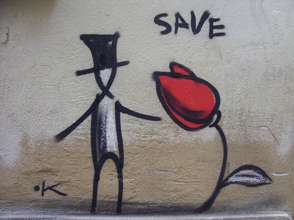 männchen-neben-rose