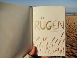 zeichnung-gräser-ostsee