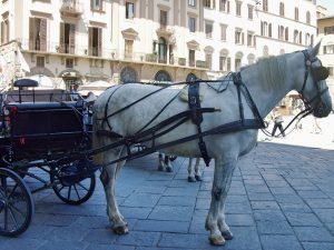 kutsche-mit-pferd