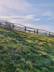 holzgeländer-auf-wiese