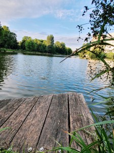 holzsteg-am-wasser