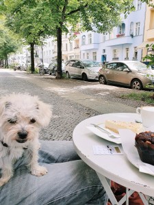 hund-am-kaffeetisch