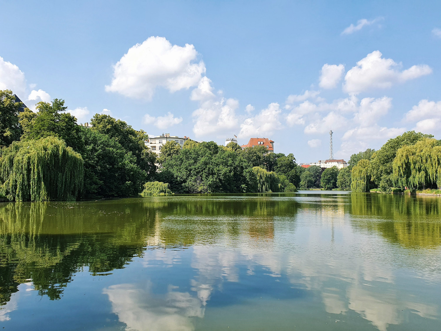 seepanorama-mit-bäumen
