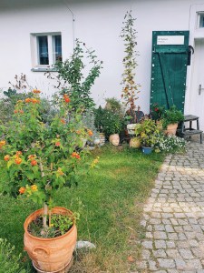 garten-mit-blumentoepfen