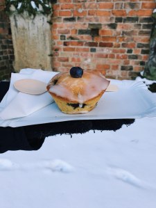 törtchen-mit-blaubeere-im-schnee